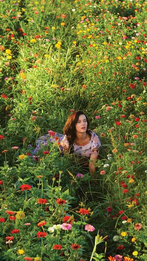 KATY PERRY - BANDAIDS