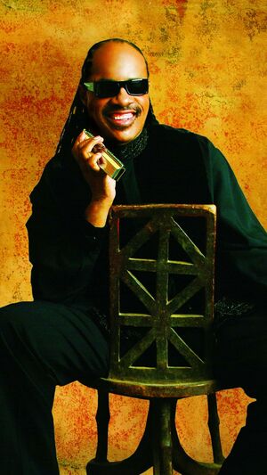 Stevie Wonder - Part Time Lover