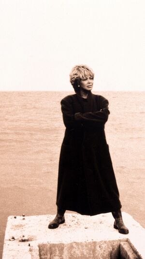 Tina Turner - I Don't Wanna Lose You