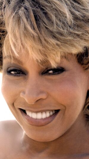 Tina Turner - Private Dancer