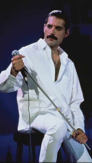 Queen - It's A Hard Life