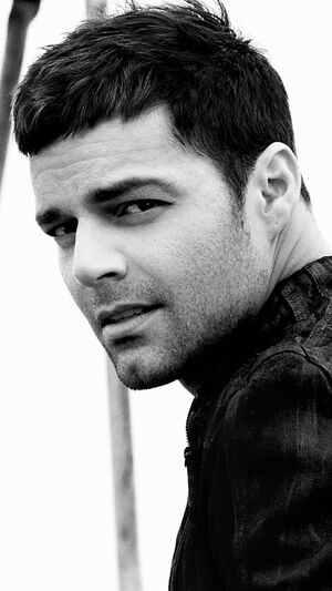Ricky Martin - Livin La Vida Loca