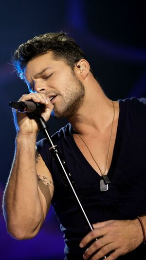 Ricky Martin - Livin La Vida Loca