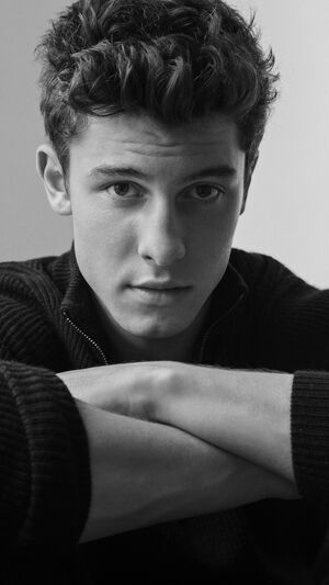 Shawn Mendes - Heartbeat