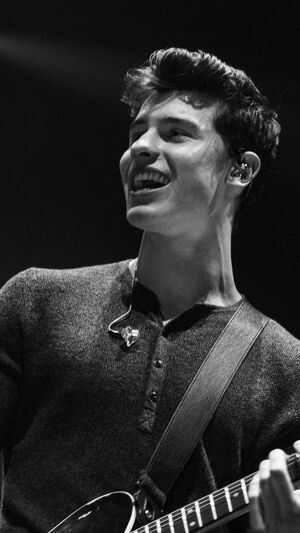 Shawn Mendes - There's Nothing Holdin' Me Back (unplugged)