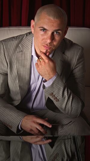 PITBULL FT T PAIN - HEY BABY (DROP IT TO THE FLOOR)