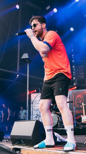 BAUSA - WAS DU LIEBE NENNST