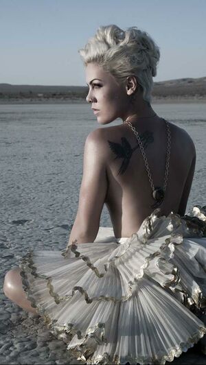 Pink - Raise Your Glass