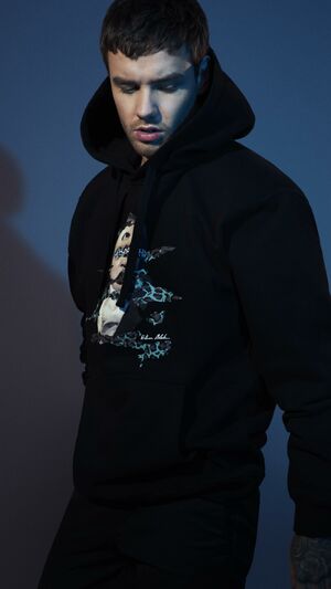 Liam Payne - Stack It Up