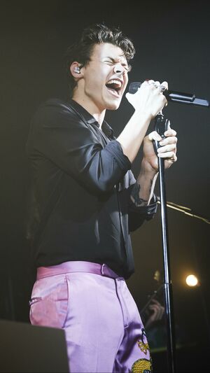 HARRY STYLES - TWO GHOSTS