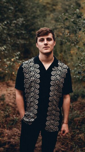 Lost Frequencies x Tom Gregory - Dive