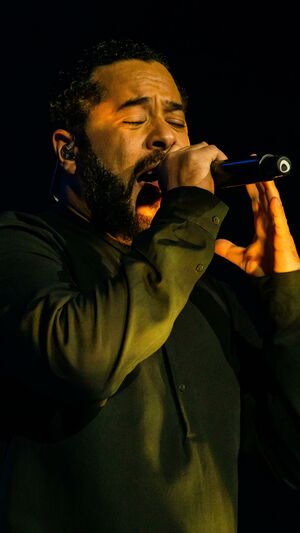 Ich & Ich - Pflaster