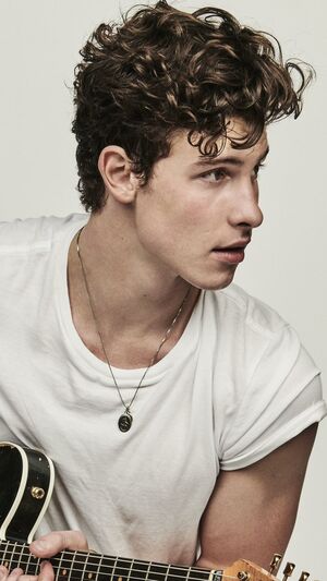 Shawn Mendes - In My Blood