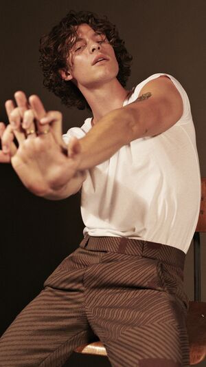 Shawn Mendes - Treat You Better