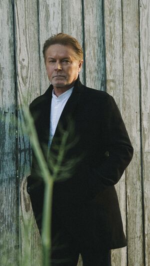 Don Henley - The Boys Of Summer