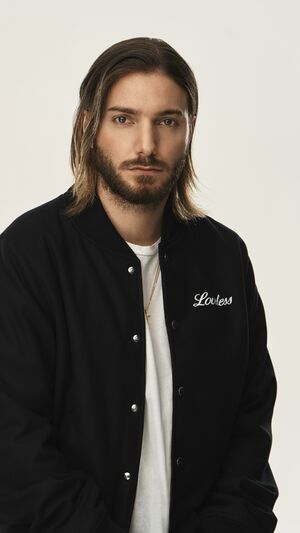 Alesso, Zara Larsson - Words