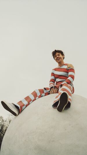 HARRY STYLES - BOYFRIENDS