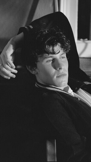 Shawn Mendes - Treat You Better