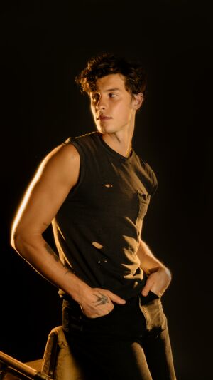 Shawn Mendes & Camila Cabello - Señorita