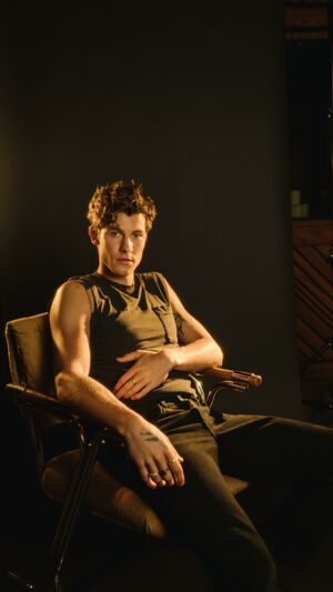 Shawn Mendes - When You're Gone