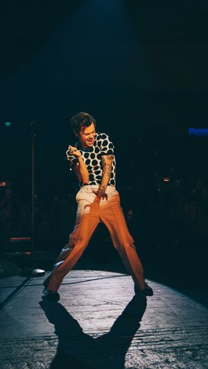 HARRY STYLES - LIGHTS UP