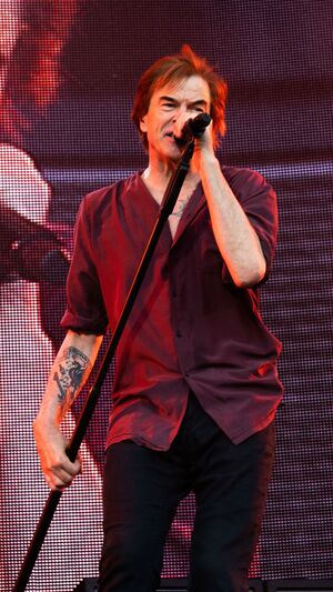 Die Toten Hosen - Altes Fieber