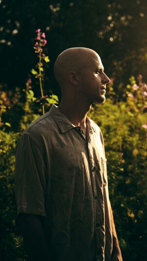 Milow - Whatever It Takes