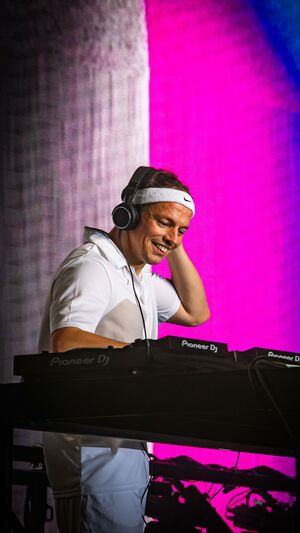 ALLE FARBEN & MAJESTIC - FROM DISCO TO DISCO