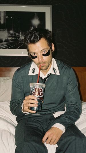 Harry Styles - Adore You