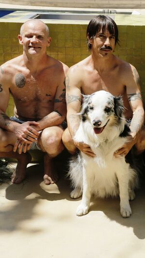 Red Hot Chili Peppers - Dani California