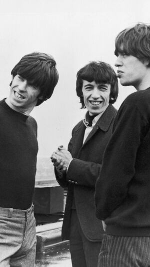 Rolling Stones - Wild Horses