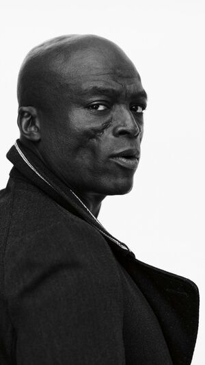 Seal - Kiss From A Rose