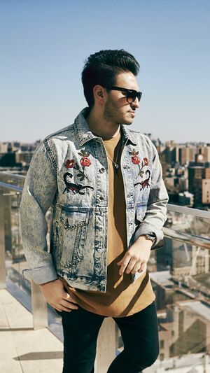 Jonas Blue feat. Dakota - Fast Car