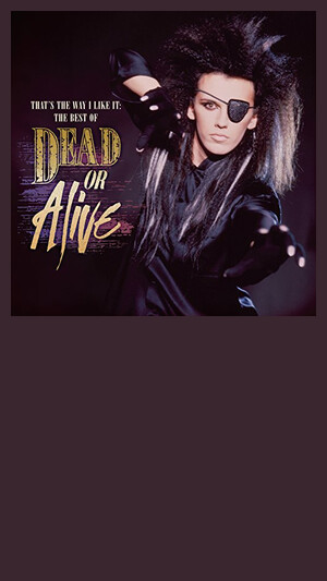 Dead Or Alive - You Spin Me Round