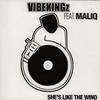 vibekingz ft maliq - shes like the wind