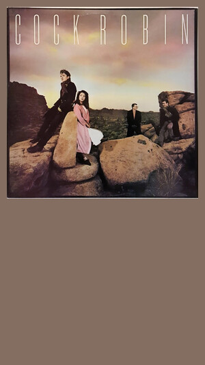 Cock Robin - When Your Heart Is Weak