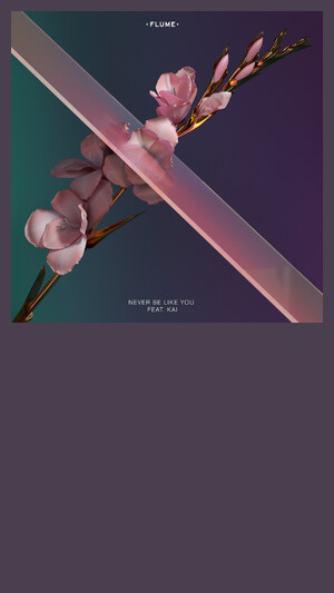 FLUME FT KAI - NEVER BE LIKE YOU