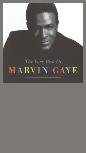 Marvin Gaye - I Heard It Through The Grapevine