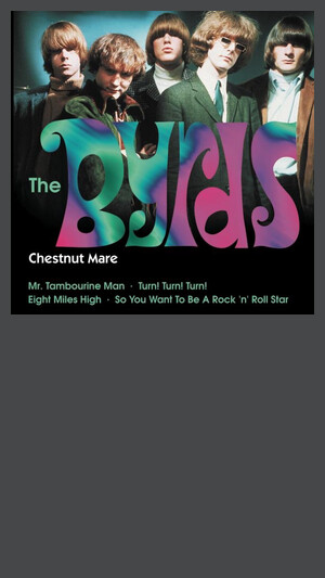 Byrds - Mr Tambourine Man