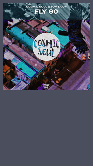 Cosmic Soul x Tom Novy - Sunshine