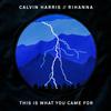 calvin harris ft rihanna - this is what you came for
