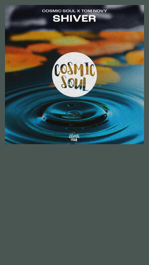 Cosmic Soul x Tom Novy - Love (Extended Mix)