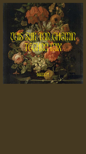 BENNETT - Vois sur ton chemin (Techno Mix)