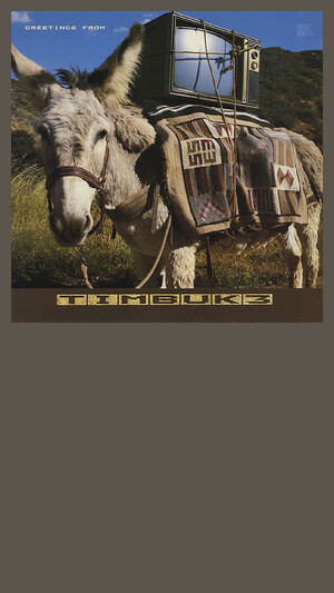 Timbuk 3 - The Future's So Bright I Gotta Wear Shades