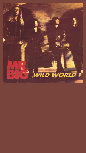 Mr. Big - Wild World
