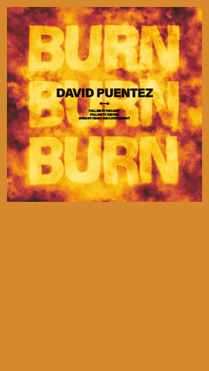 David Puentez - Burn