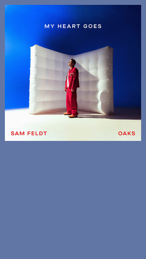 Sam Feldt x Oaks - My Heart Goes