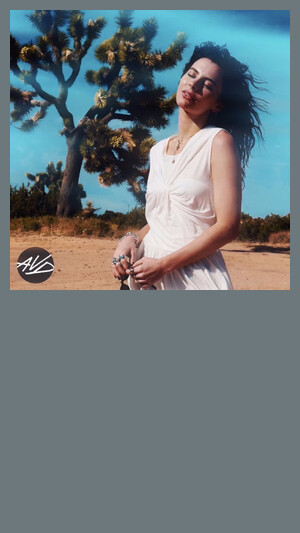 Amber Van Day - The Secret