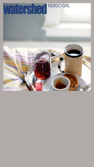 Watershed - Indigo Girl