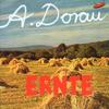 Songcover